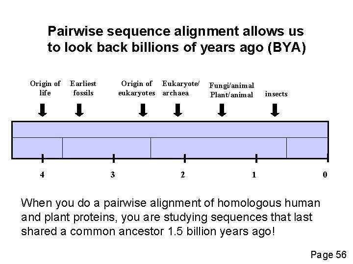 Pairwise sequence alignment allows us to look back billions of years ago (BYA) Origin