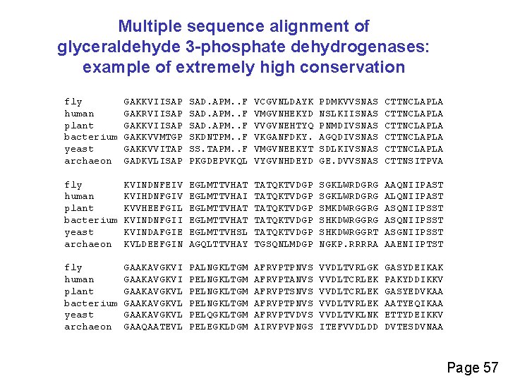 Multiple sequence alignment of glyceraldehyde 3 -phosphate dehydrogenases: example of extremely high conservation fly