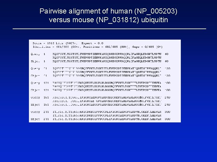 Pairwise alignment of human (NP_005203) versus mouse (NP_031812) ubiquitin 