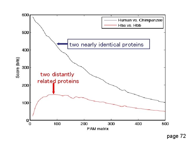 two nearly identical proteins two distantly related proteins page 72 