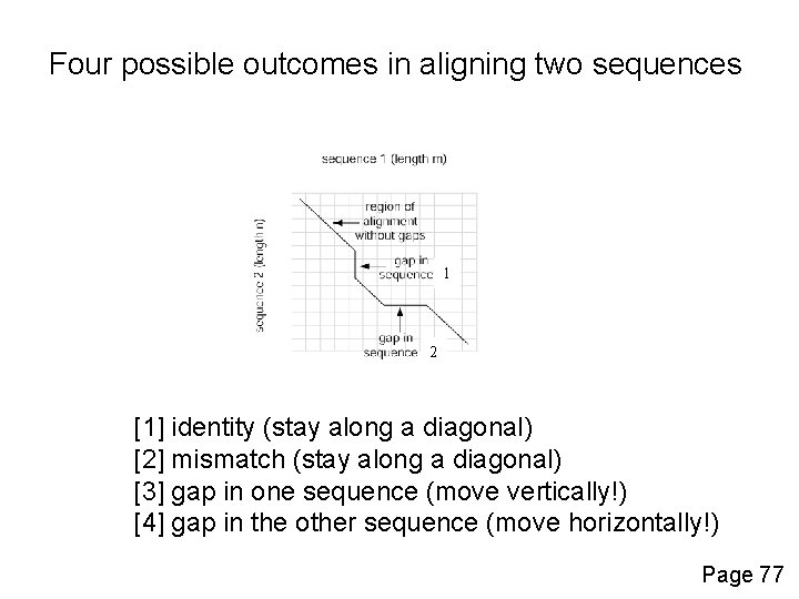 Four possible outcomes in aligning two sequences 1 2 [1] identity (stay along a