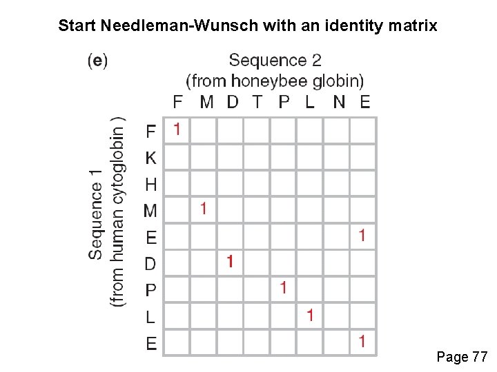 Start Needleman-Wunsch with an identity matrix Page 77 