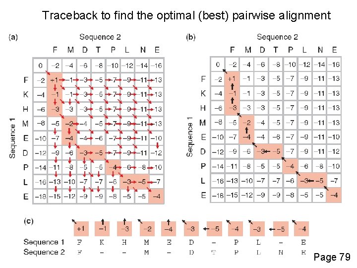 Traceback to find the optimal (best) pairwise alignment Page 79 
