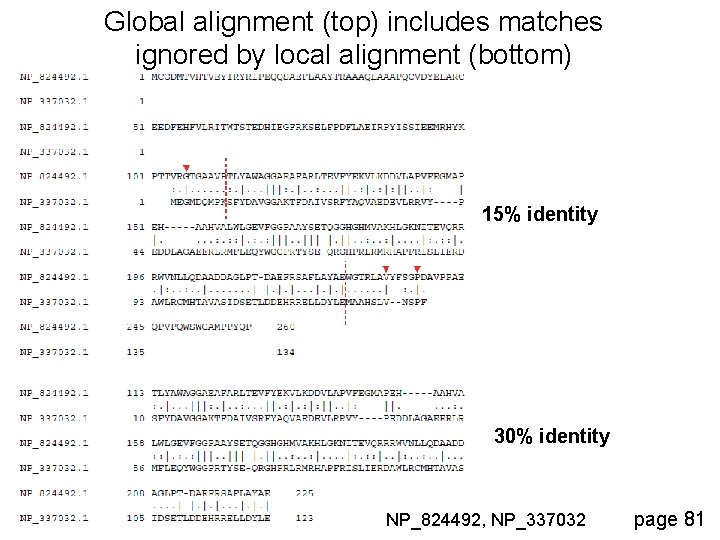 Global alignment (top) includes matches ignored by local alignment (bottom) 15% identity 30% identity