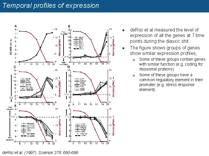 Temporal profiles of expression n n de. Risi et al measured the level of
