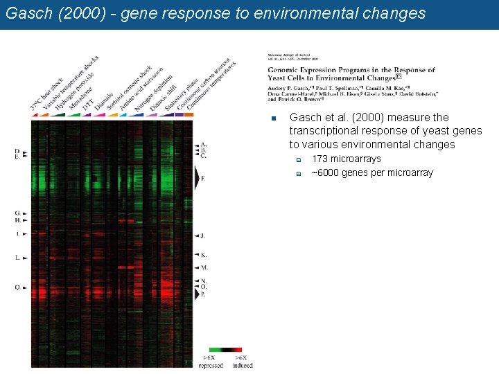 Gasch (2000) - gene response to environmental changes n Gasch et al. (2000) measure