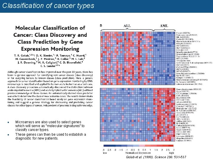 Classification of cancer types n n Microarrays are also used to select genes which