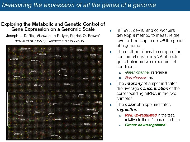 Measuring the expression of all the genes of a genome n de. Risi et