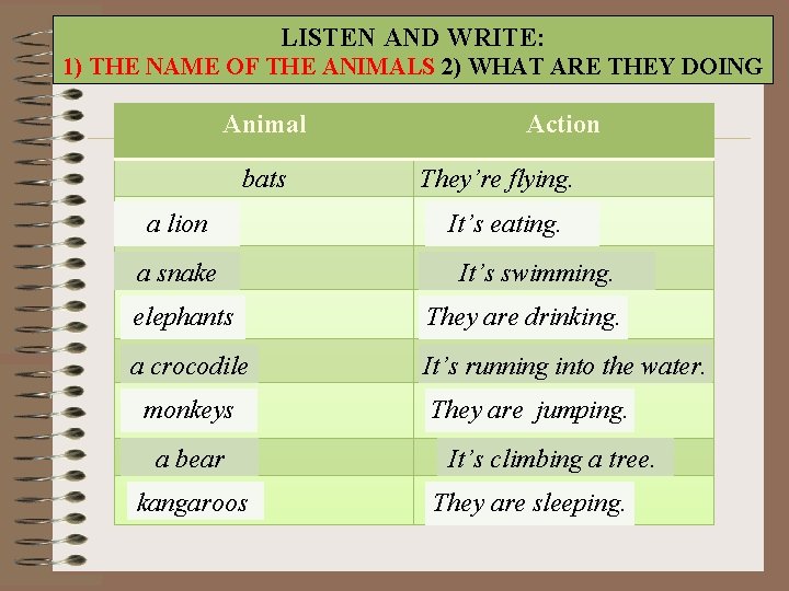 LISTEN AND WRITE: 1) THE NAME OF THE ANIMALS 2) WHAT ARE THEY DOING