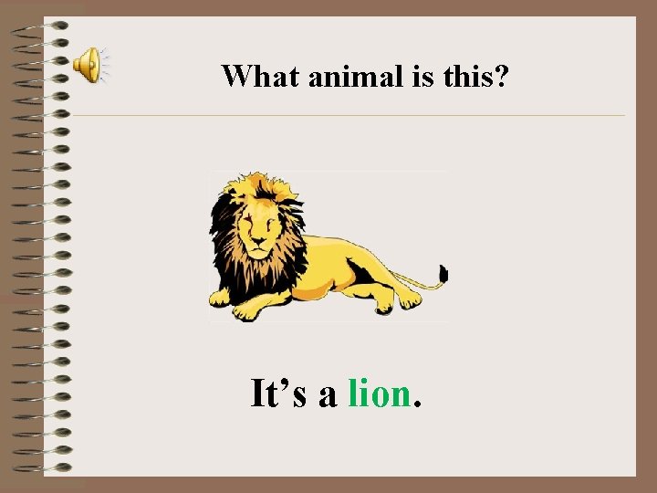What animal is this? It’s a lion. 