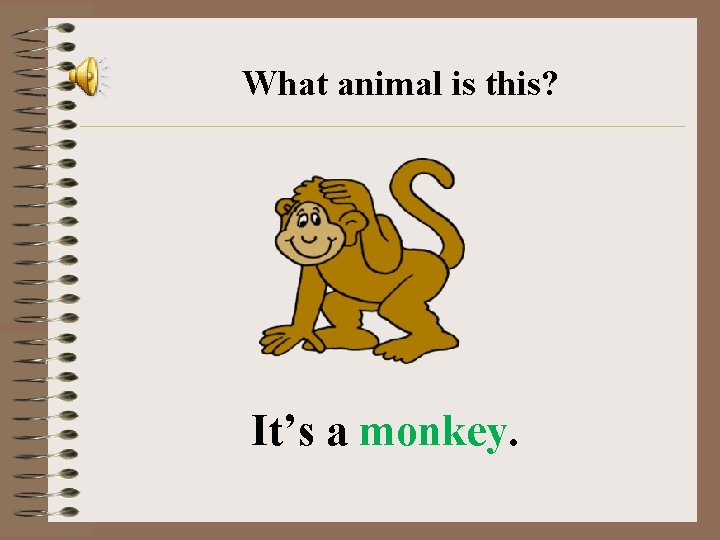What animal is this? It’s a monkey. 