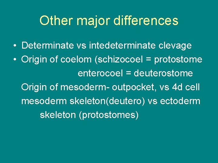Other major differences • Determinate vs intedeterminate clevage • Origin of coelom (schizocoel =