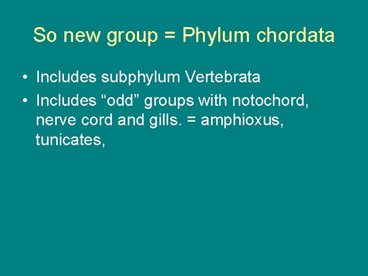 So new group = Phylum chordata • Includes subphylum Vertebrata • Includes “odd” groups