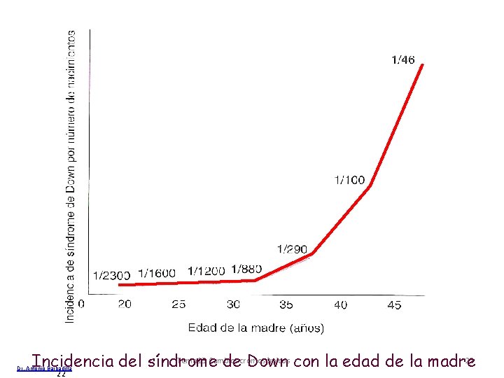 Tema 13 Cambios 22 Incidencia del síndrome decromosómicos Down con la edad de la