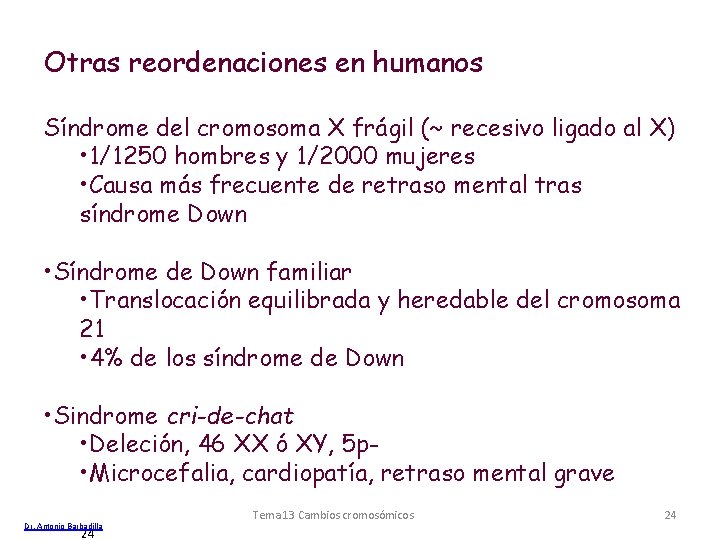 Otras reordenaciones en humanos Síndrome del cromosoma X frágil (~ recesivo ligado al X)