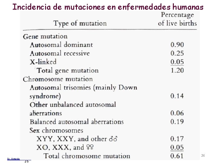 Incidencia de mutaciones en enfermedades humanas Dr. Antonio Barbadilla 26 Tema 13 Cambios cromosómicos