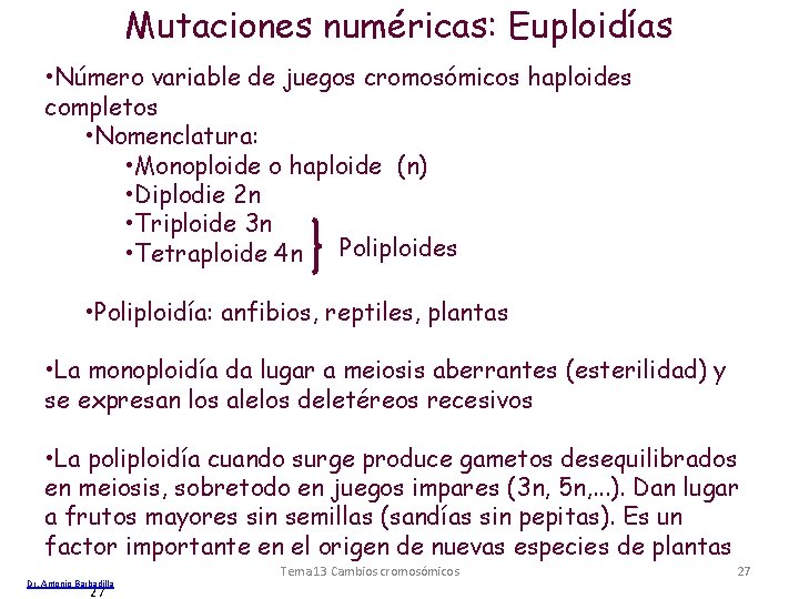 Mutaciones numéricas: Euploidías • Número variable de juegos cromosómicos haploides completos • Nomenclatura: •