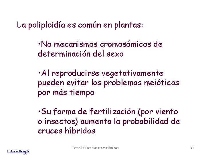 La poliploidía es común en plantas: • No mecanismos cromosómicos de determinación del sexo