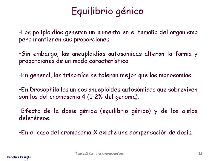 Equilibrio génico • Los poliploidías generan un aumento en el tamaño del organismo pero