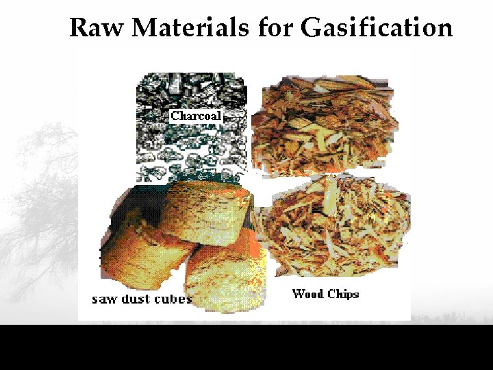 Raw Materials for Gasification 