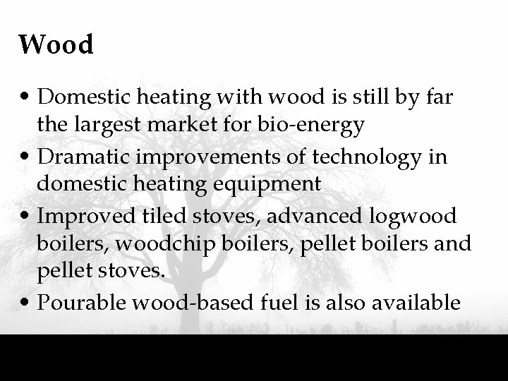 Wood • Domestic heating with wood is still by far the largest market for