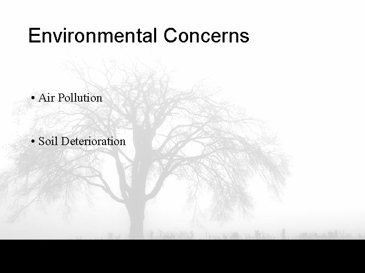 Environmental Concerns • Air Pollution • Soil Deterioration 