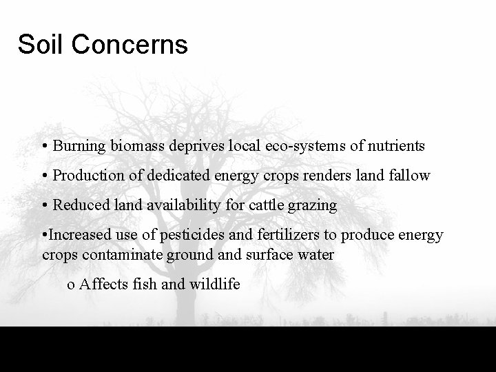 Soil Concerns • Burning biomass deprives local eco-systems of nutrients • Production of dedicated