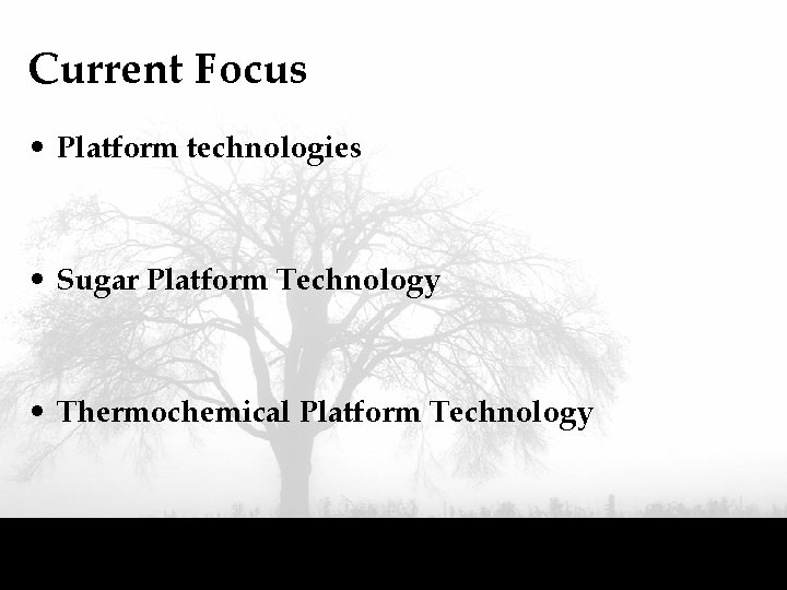 Current Focus • Platform technologies • Sugar Platform Technology • Thermochemical Platform Technology 