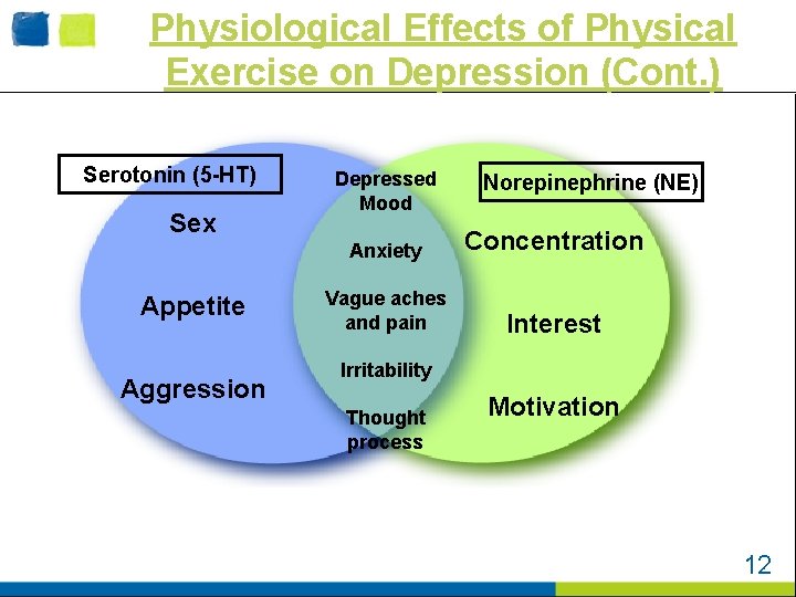 Physiological Effects of Physical Exercise on Depression (Cont. ) Serotonin (5 -HT) Sex Appetite