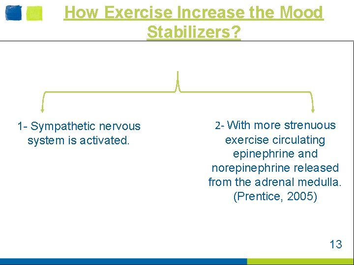 How Exercise Increase the Mood Stabilizers? 1 - Sympathetic nervous system is activated. 2