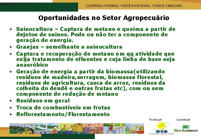 Oportunidades no Setor Agropecuário • Suinocultura – Captura de metano e queima a partir