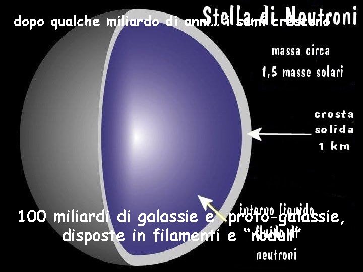 dopo qualche miliardo di anni… i semi crescono 100 miliardi di galassie e proto-galassie,