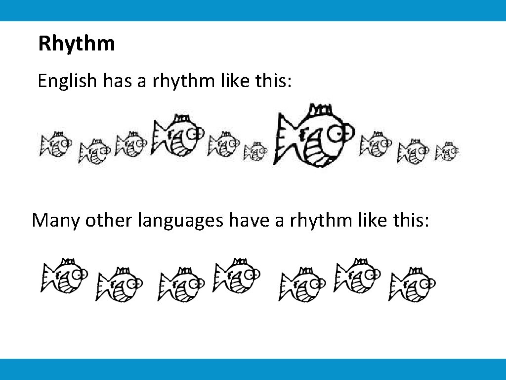 Rhythm English has a rhythm like this: Many other languages have a rhythm like