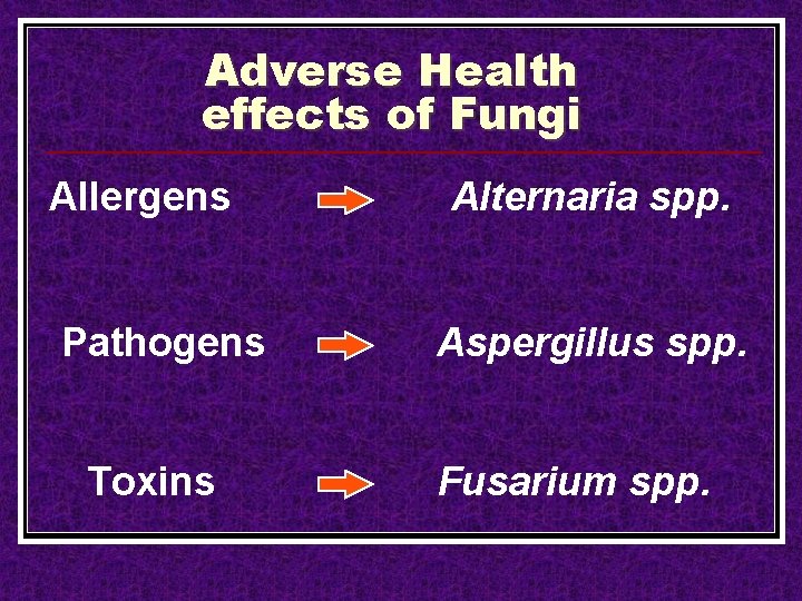 Adverse Health effects of Fungi Allergens Pathogens Toxins Alternaria spp. Aspergillus spp. Fusarium spp.