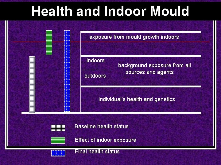 Health and Indoor Mould exposure from mould growth indoors outdoors background exposure from all