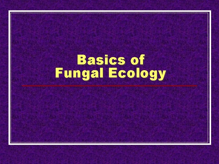 Basics of Fungal Ecology 