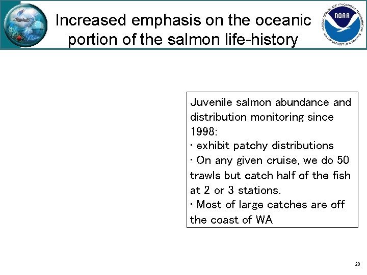 Increased emphasis on the oceanic portion of the salmon life-history Juvenile salmon abundance and