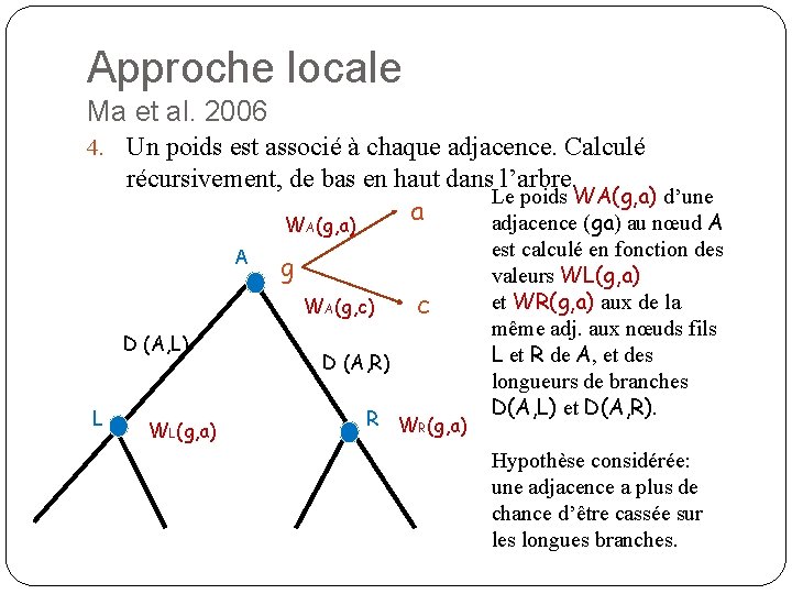 Approche locale Ma et al. 2006 4. Un poids est associé à chaque adjacence.
