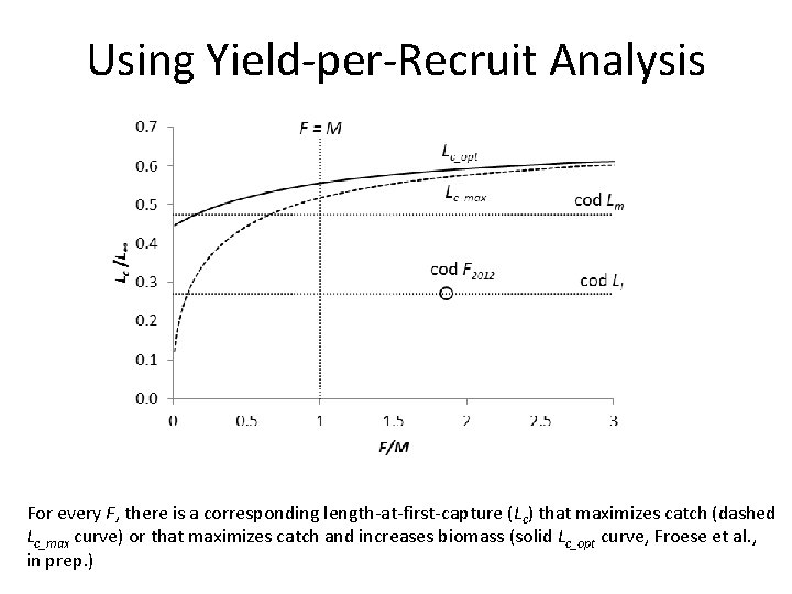 Using Yield-per-Recruit Analysis For every F, there is a corresponding length-at-first-capture (Lc) that maximizes
