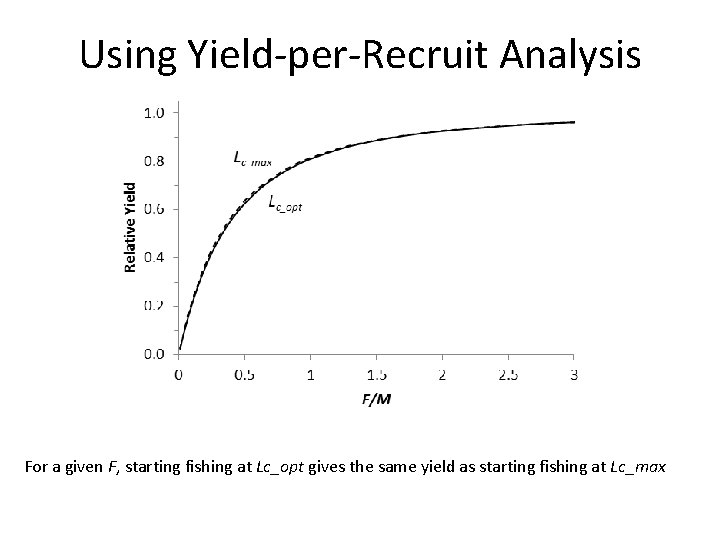 Using Yield-per-Recruit Analysis For a given F, starting fishing at Lc_opt gives the same