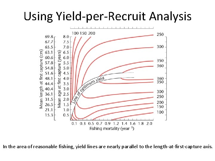 Using Yield-per-Recruit Analysis In the area of reasonable fishing, yield lines are nearly parallel