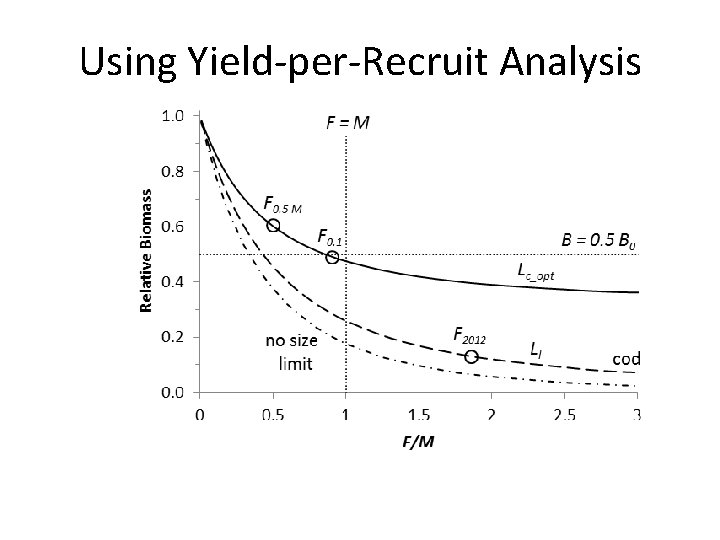 Using Yield-per-Recruit Analysis 