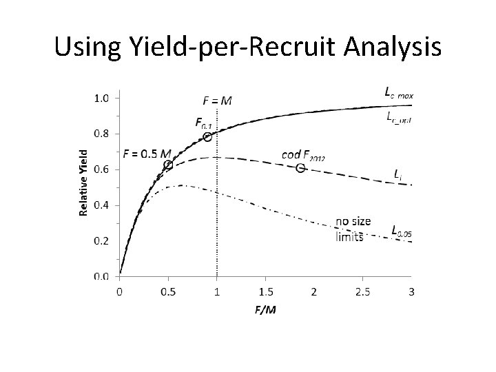 Using Yield-per-Recruit Analysis 