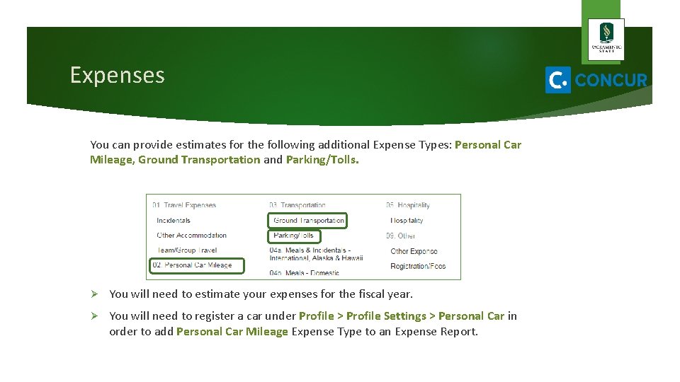 Expenses You can provide estimates for the following additional Expense Types: Personal Car Mileage,