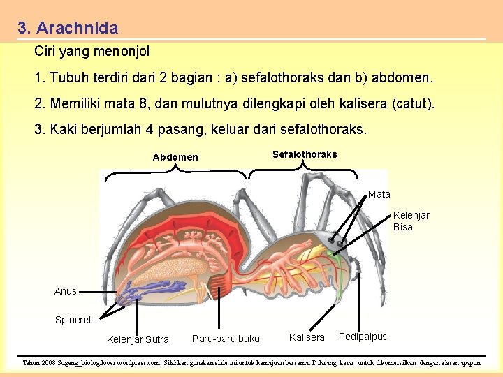 3. Arachnida Ciri yang menonjol 1. Tubuh terdiri dari 2 bagian : a) sefalothoraks