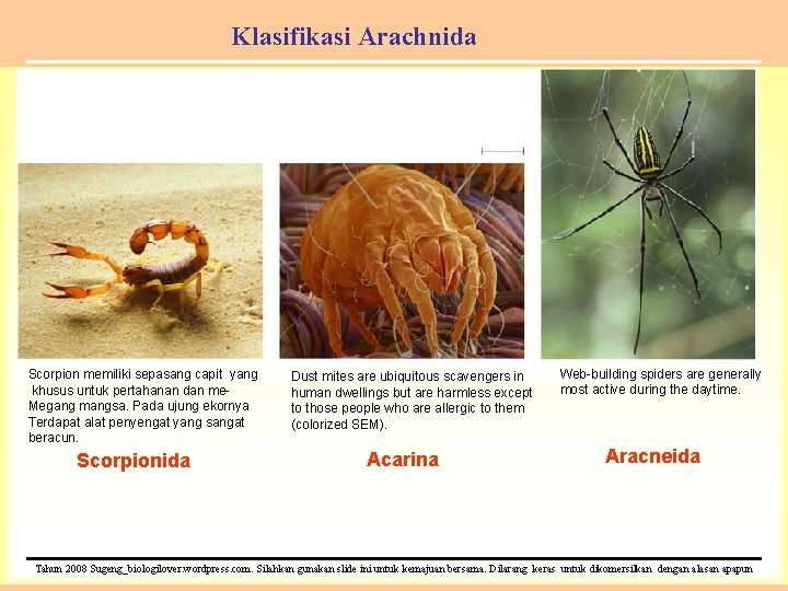 Klasifikasi Arachnida Scorpion memiliki sepasang capit yang khusus untuk pertahanan dan me. Megang mangsa.