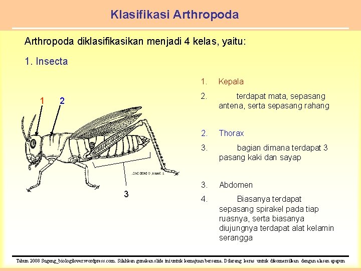 Klasifikasi Arthropoda diklasifikasikan menjadi 4 kelas, yaitu: 1. Insecta 1 2 3 1. Kepala