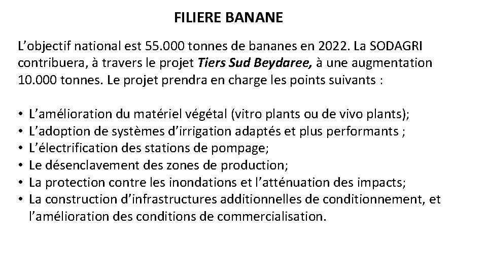 FILIERE BANANE L’objectif national est 55. 000 tonnes de bananes en 2022. La SODAGRI