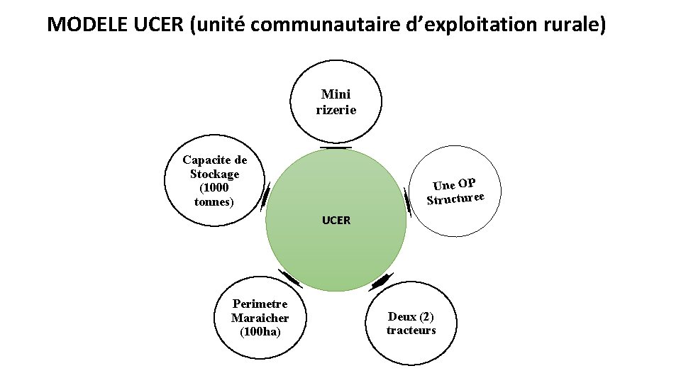 MODELE UCER (unité communautaire d’exploitation rurale) Mini rizerie Capacite de Stockage (1000 tonnes) Une