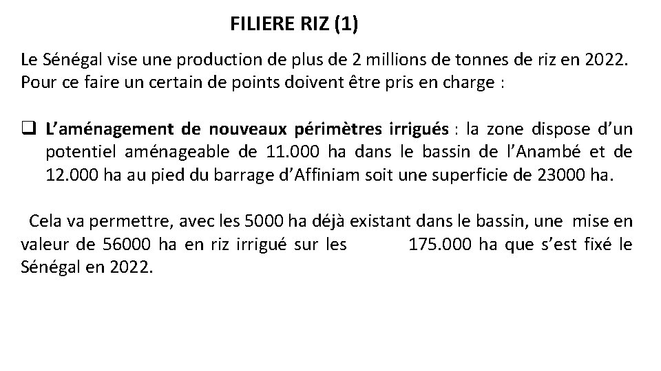 FILIERE RIZ (1) Le Sénégal vise une production de plus de 2 millions de